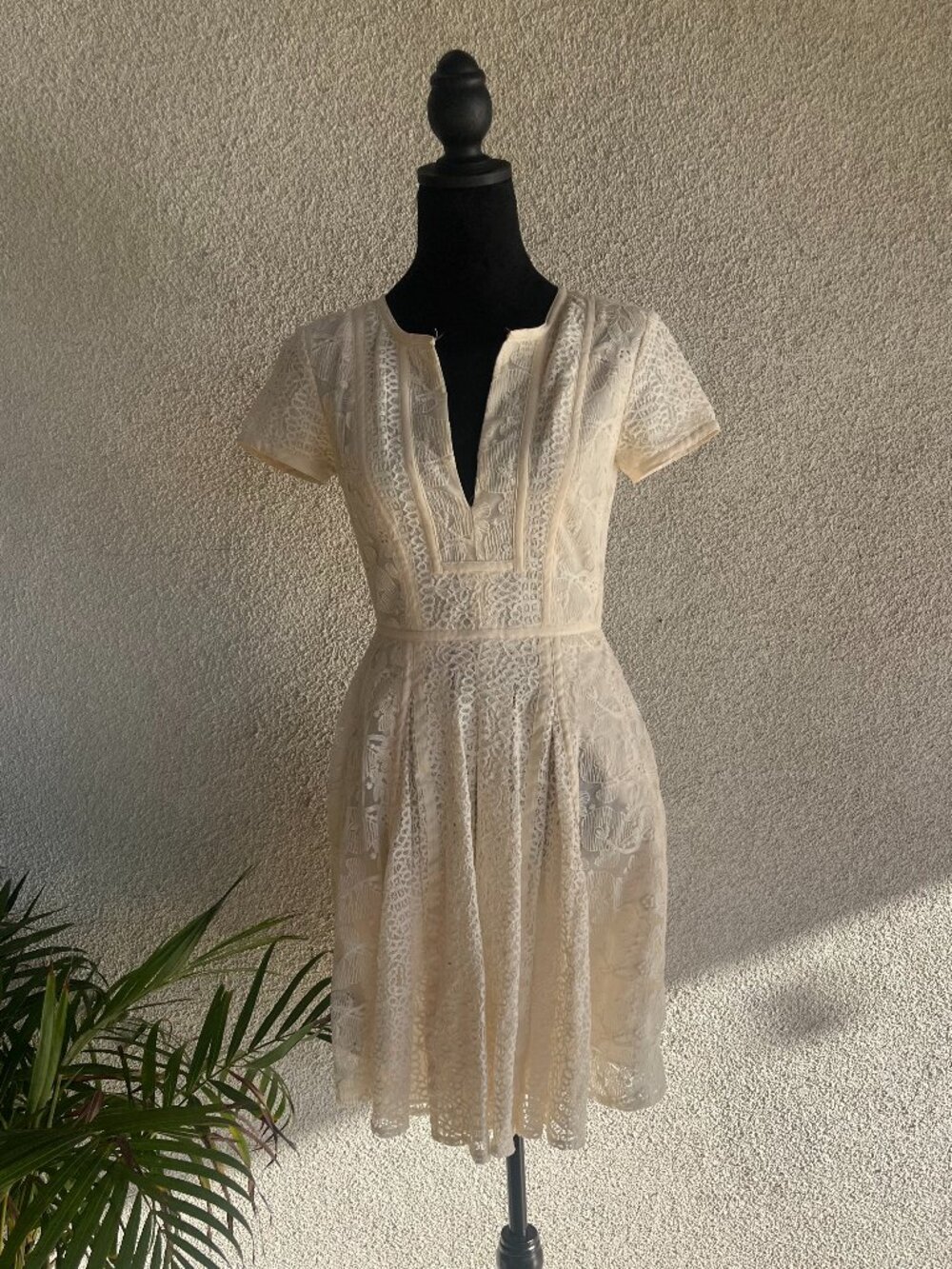 Lace Dress